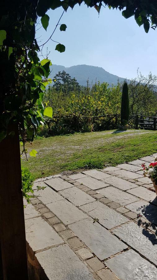 Alla Battuta Sansepolcro Exterior foto